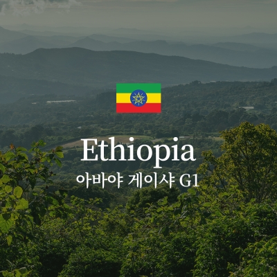 에티오피아 아바야 게이샤 G1