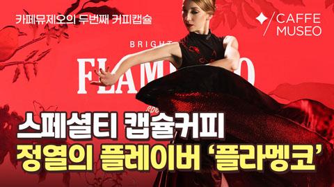 0209_플라멩코.jpg