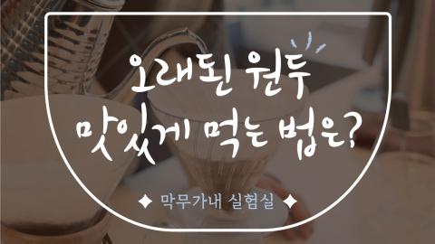 케멕스-아벤시-막무가내실험실.jpg