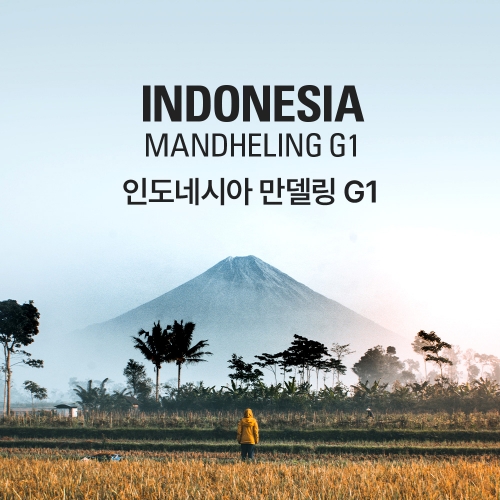 갓볶은커피 인도네시아 만델링 G1