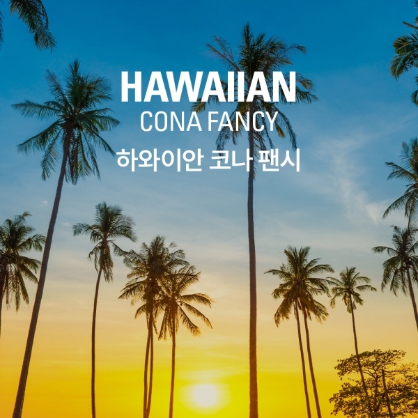 갓볶은커피 하와이안 코나 팬시 (수페셜티)