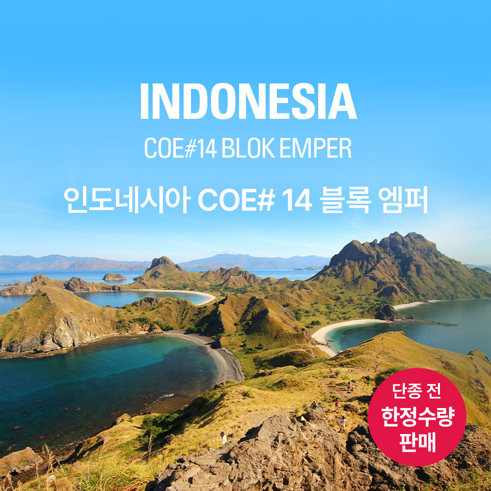 [한정수량] 갓볶은커피 인도네시아 COE #14 블록 엠퍼 200g - 원두