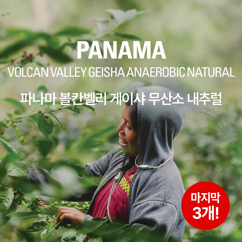 갓볶은커피 파나마 볼칸벨리 게이샤 무산소 내추럴