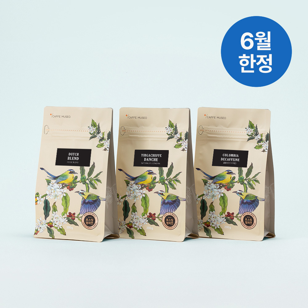 [6월커피SET] 갓볶은커피 청량한 더치 커피 3종 세트 100g/200g