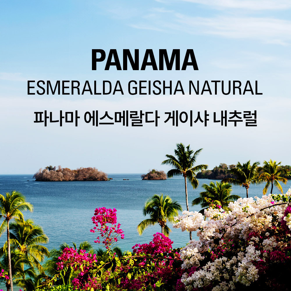 갓볶은커피 파나마 에스메랄다 게이샤 프라이빗컬렉션 내추럴
