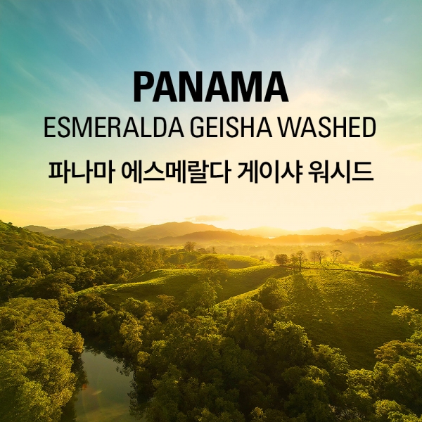 갓볶은커피 파나마 에스메랄다 게이샤 프라이빗컬렉션 워시드