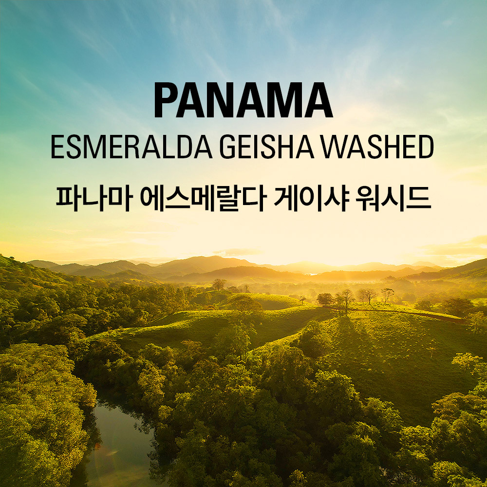 갓볶은커피 파나마 에스메랄다 게이샤 프라이빗컬렉션 워시드