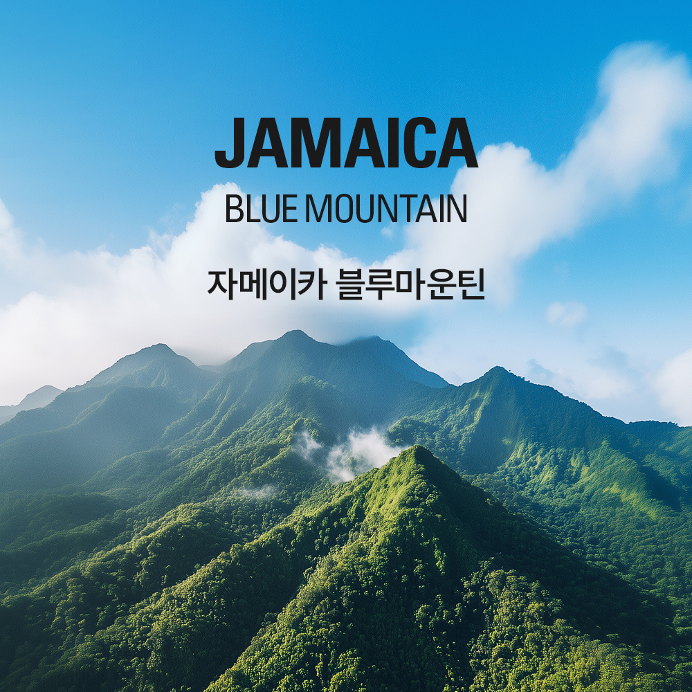 갓볶은커피 자메이카 블루마운틴 (수페셜티)
