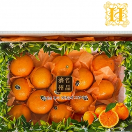 제주 황금향 3kg