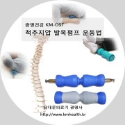 km-OST 건강운동법