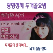 두피마사지기