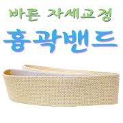 정체요법흉곽밴드50개 (95,115cm)바른자세