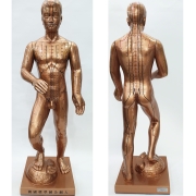 해성 국산 금동 경혈 인형