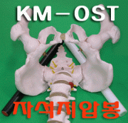 정체요법기구세트 강력자석봉 척추지압운동기 조합 ~