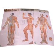 코팅 3장 경혈도