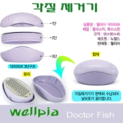 닥터피쉬 각질제거