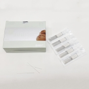 체질침용 정안침