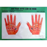 광명중수골(中手骨) 괘도