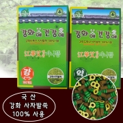 강화애 미니뜸