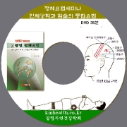 정체 침술통합 요법