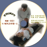 두개선골 요법(제1편)