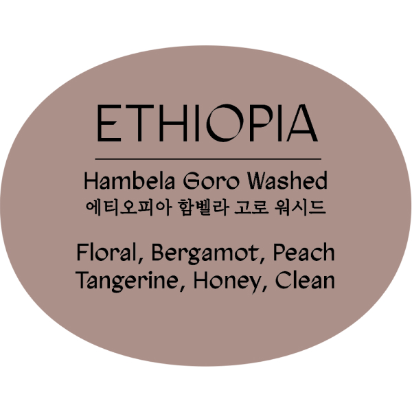 에티오피아 구지 함벨라 고로 워시드