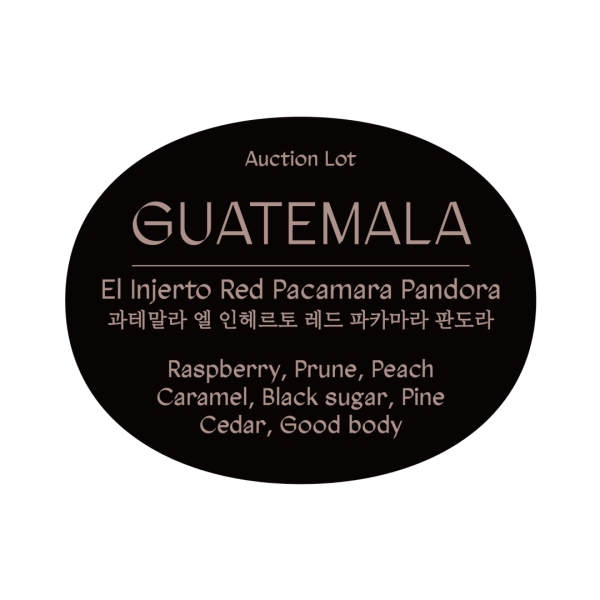 [Black Box 108] 과테말라 엘 인헤르토 레드 파카마라 판도라 옥션랏