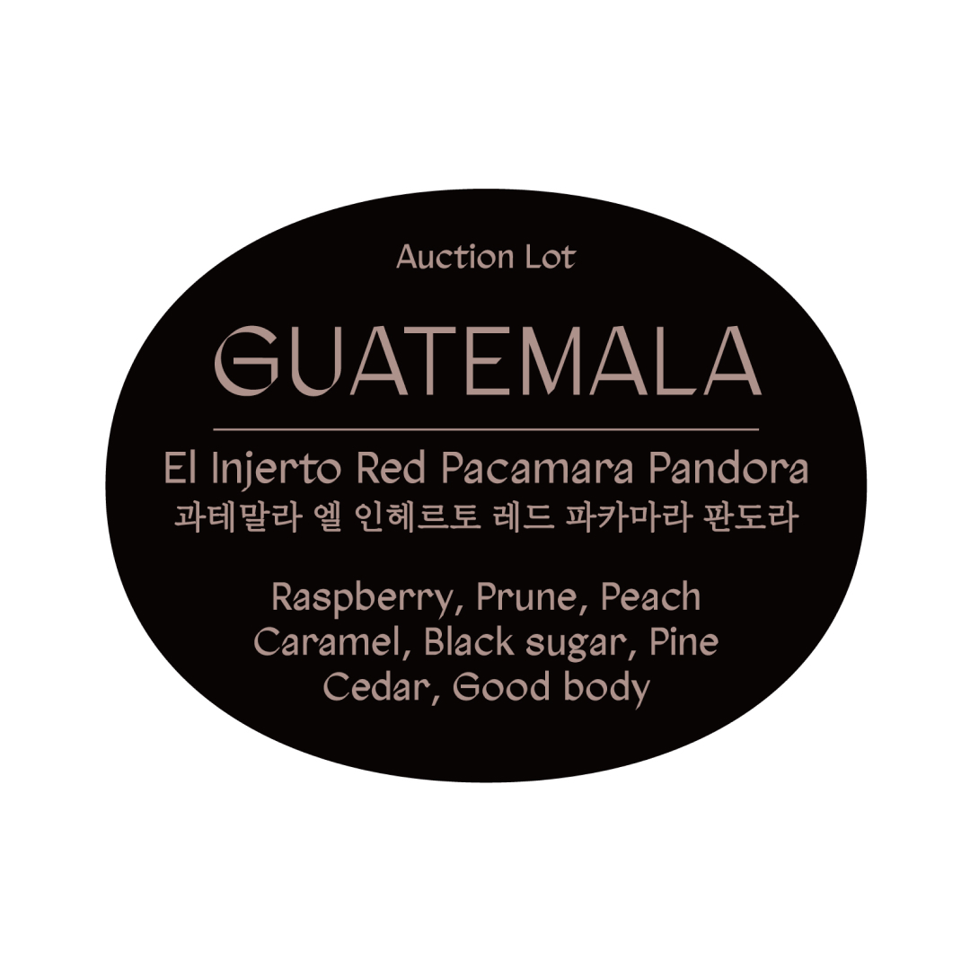 [Black Box 108] 과테말라 엘 인헤르토 레드 파카마라 판도라 옥션랏