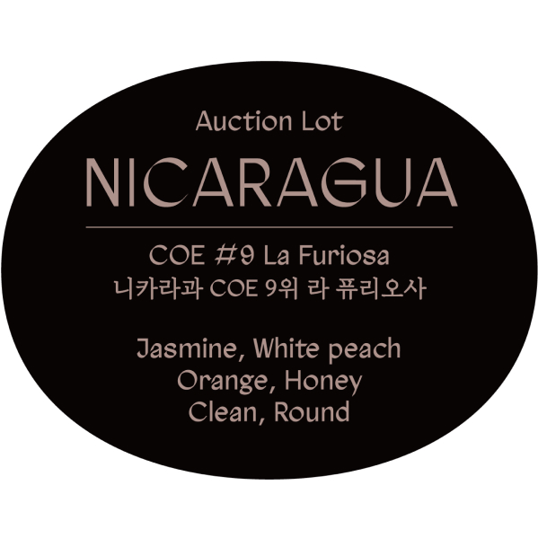 [Black Box 104] 니카라과 COE 9위 라 퓨리오사