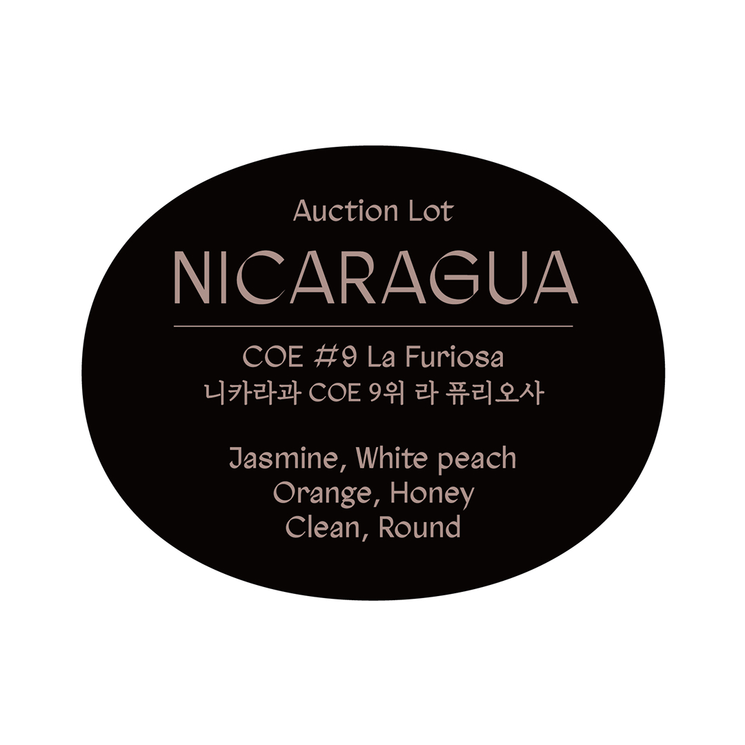 [도매] [Black Box 104] 니카라과 COE 9위 라 퓨리오사