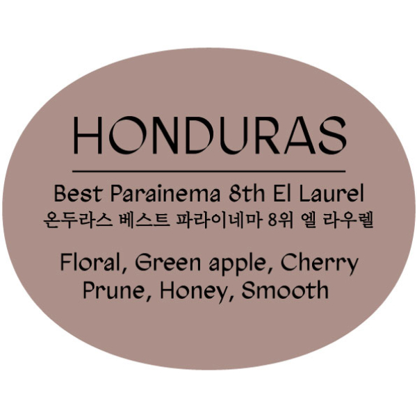 온두라스 베스트 파라이네마 8위 엘 라우렐