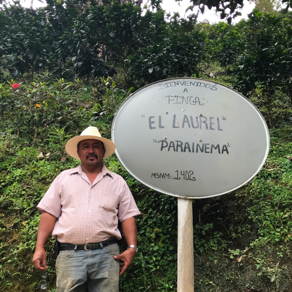 온두라스 베스트 파라이네마 8위 엘 라우렐