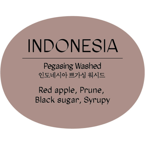 인도네시아 쁘가싱 워시드