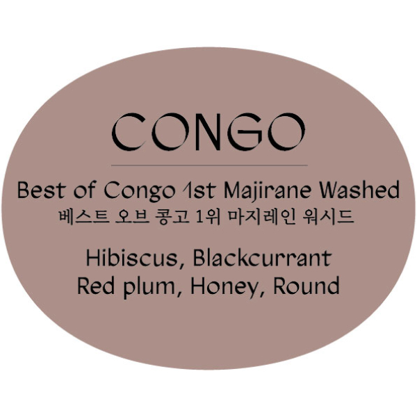베스트 오브 콩고 1위 마지레인 워시드