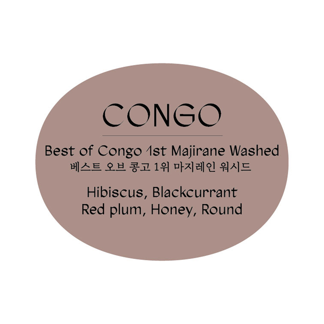 베스트 오브 콩고 1위 마지레인 워시드