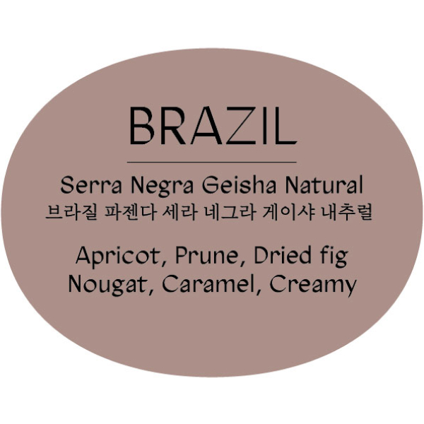 브라질 파젠다 세라 네그라 게이샤 내추럴