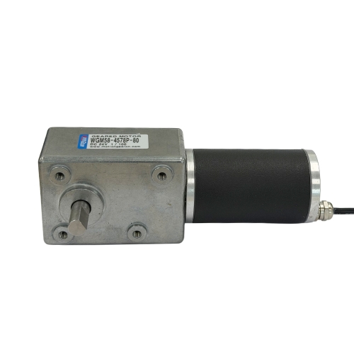웜감속기어모터 DC모터 WGM58-4578P-80  DC12V 24V IP68 방수방진 100W 무부하 속도 8000rpm