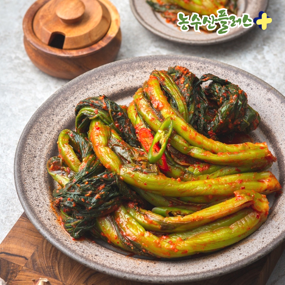 전라도 여수 톡쏘는 돌산 갓김치 1kg+1kg 갓물김치 국내산 100% 당일제조