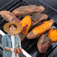 해남 황토 호풍미 호박고구마 3kg / 5kg 한입 고당도 베니하루카 농장직송