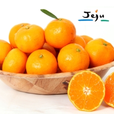 제주 고당도 비가림 감귤 3kg 가정용 하우스 제철 감귤 산지직송