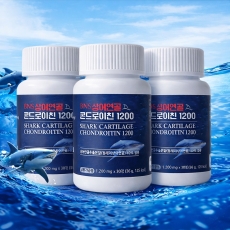 BNS 상어연골 콘드로이친 1200 관절 우슬 연골 무릎 건강 영양제 3개월 6개월