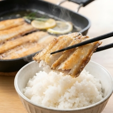 어부수산 여수 한바리 손질갈치 9팩 / 12팩 두툼한 세척 순살 갈치