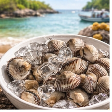 벌교 제철 고품질 여자만 새꼬막 3kg (300미 내외) 당일조업 산지직송