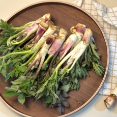국내산 남해 특품 제철 땅두릅 500g / 1kg 독활 생두릅 봄나물
