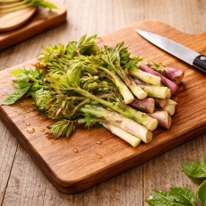 국내산 프리미엄 참두릅 300g / 500g / 1kg 제철 봄나물 생두릅