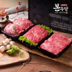 [안동한우 본우담] 1+등급이상 한우 구이정육 실속세트 4호 1.5kg (등심500g + 국거리500g + 불고기500g)