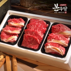 [안동한우 본우담] 1+등급이상 한우 구이정육 선물세트 4호 1.2kg (꽃등심400g*2팩 + 채끝등심400g