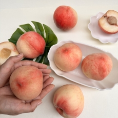 13brix 당도선별 경북 딱딱이 복숭아 1kg 제철 고당도 여름 복숭아 (1kg~4kg)