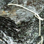 ★국내산 전장김★파래김 100매