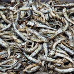 국내산 국물멸치 (다시멸치)150g*2개